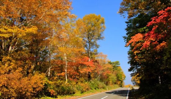 磐梯山ゴールドライン