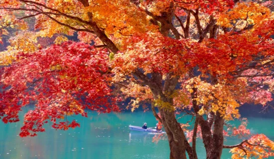 裏磐梯周辺のおすすめ紅葉スポット