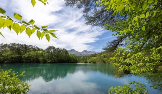 教育旅行向け「裏磐梯プロフェッショナルプログラム」ご紹介