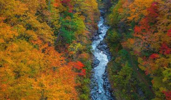 フォトギャラリー｜メルキュール京都宮津リゾート＆スパ