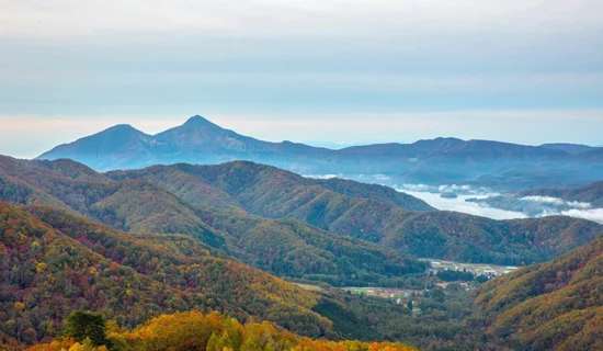 フォトギャラリー｜メルキュール京都宮津リゾート＆スパ