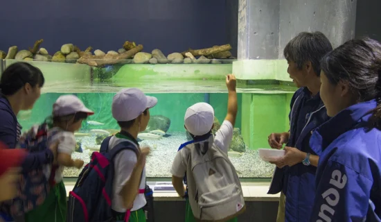 アクアマリンいなわしろカワセミ水族館