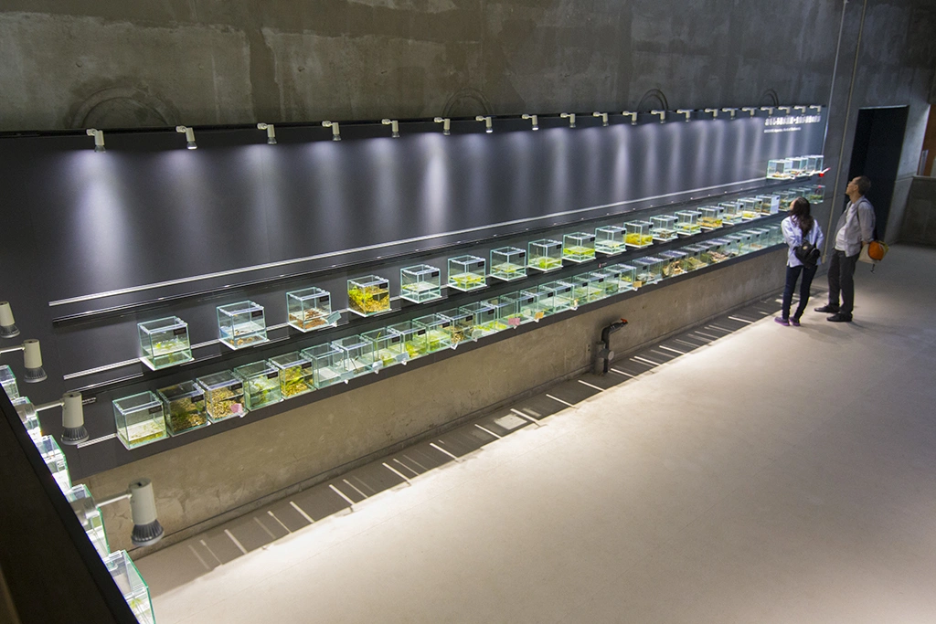 アクアマリンいなわしろカワセミ水族館｜メルキュール裏磐梯リゾート＆スパ