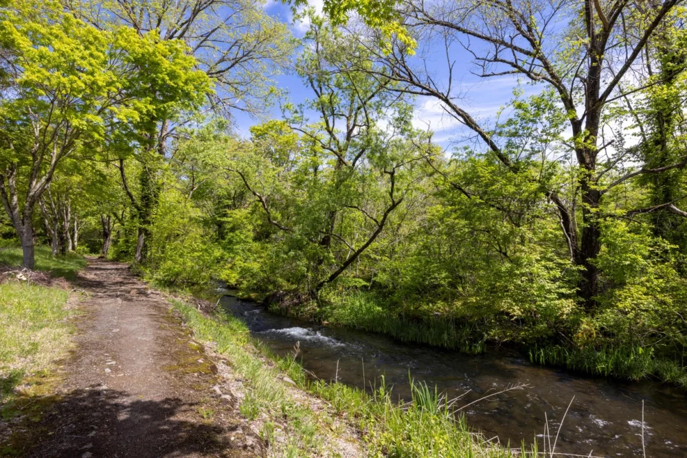 「遊歩道」「ちびっこ広場」